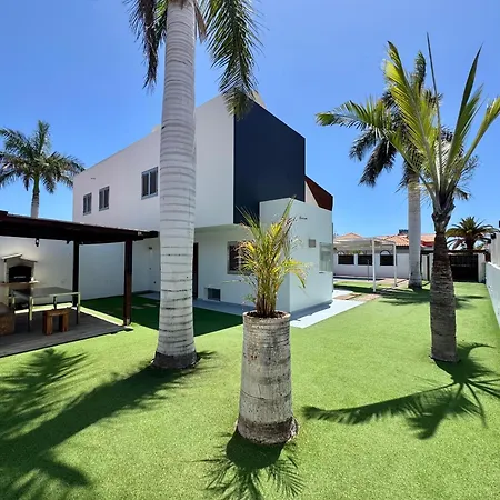 Oasis *